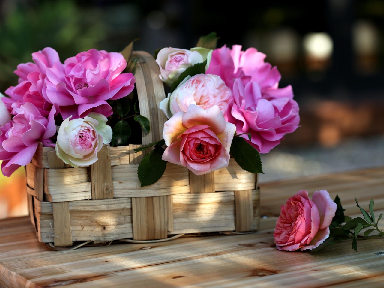 صور خلفيات سلال زهور رائعة عالية الدقة مداد الجليد