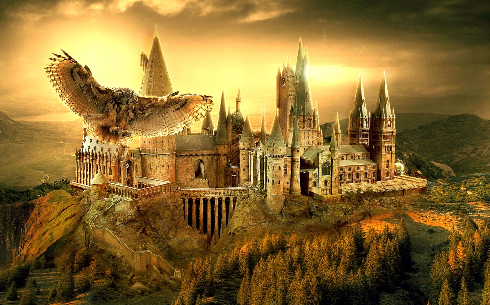 Sala de Feitiços - Hogwarts School of Witchcraft and Wizardry