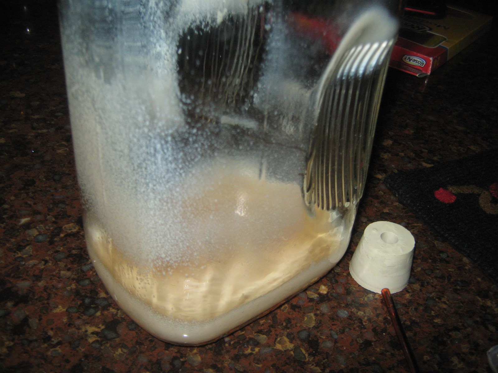 Simply Resourceful Making and Bottling Perry (Sparkling Pear Cider)!!