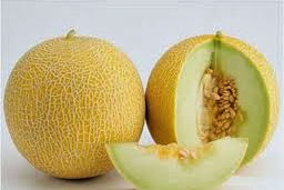 Manfaat Buah Melon Bagi Kesehatan Tubuh