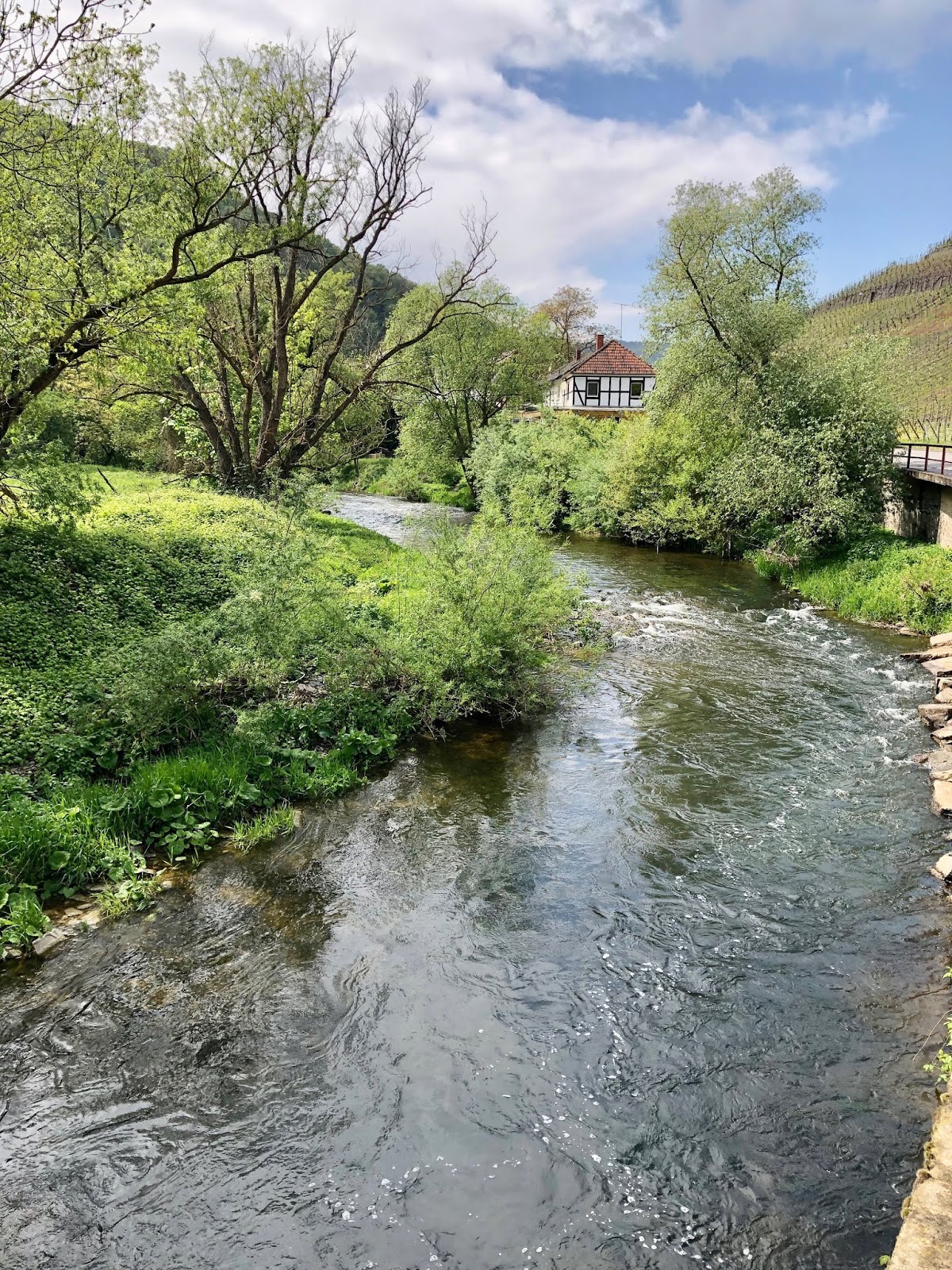 Auf Entdeckungsreise Zu Den Schatzen Der Eifel Inhalt