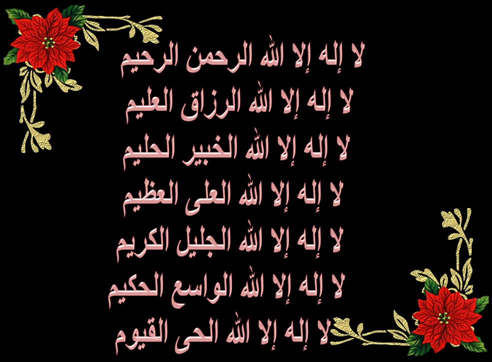 سبيلي للجنة فـــــــــــــــضائل التــــــــــــــــــهليل