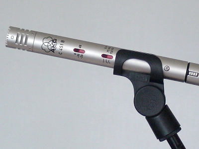 A slimline microphone