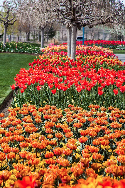 Thanksgiving business facts