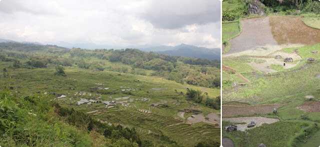 Día 10-26 Nov.Rantepao "Tana Toraja" (Bori Parinding-Pallawa-Batutumon - Indonesia en 23 días, Nov-Dic 2012 (7)