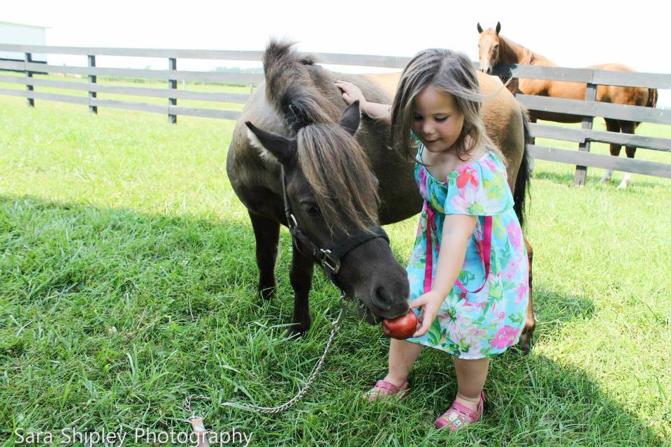 Indiana Miniature Horses Are Mini horses good for children?
