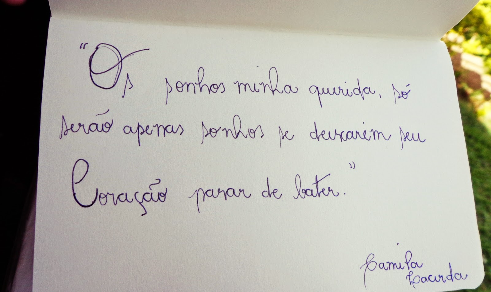 Frases Para Escrever Na Capa Do Caderno Edulearn - vrogue.co