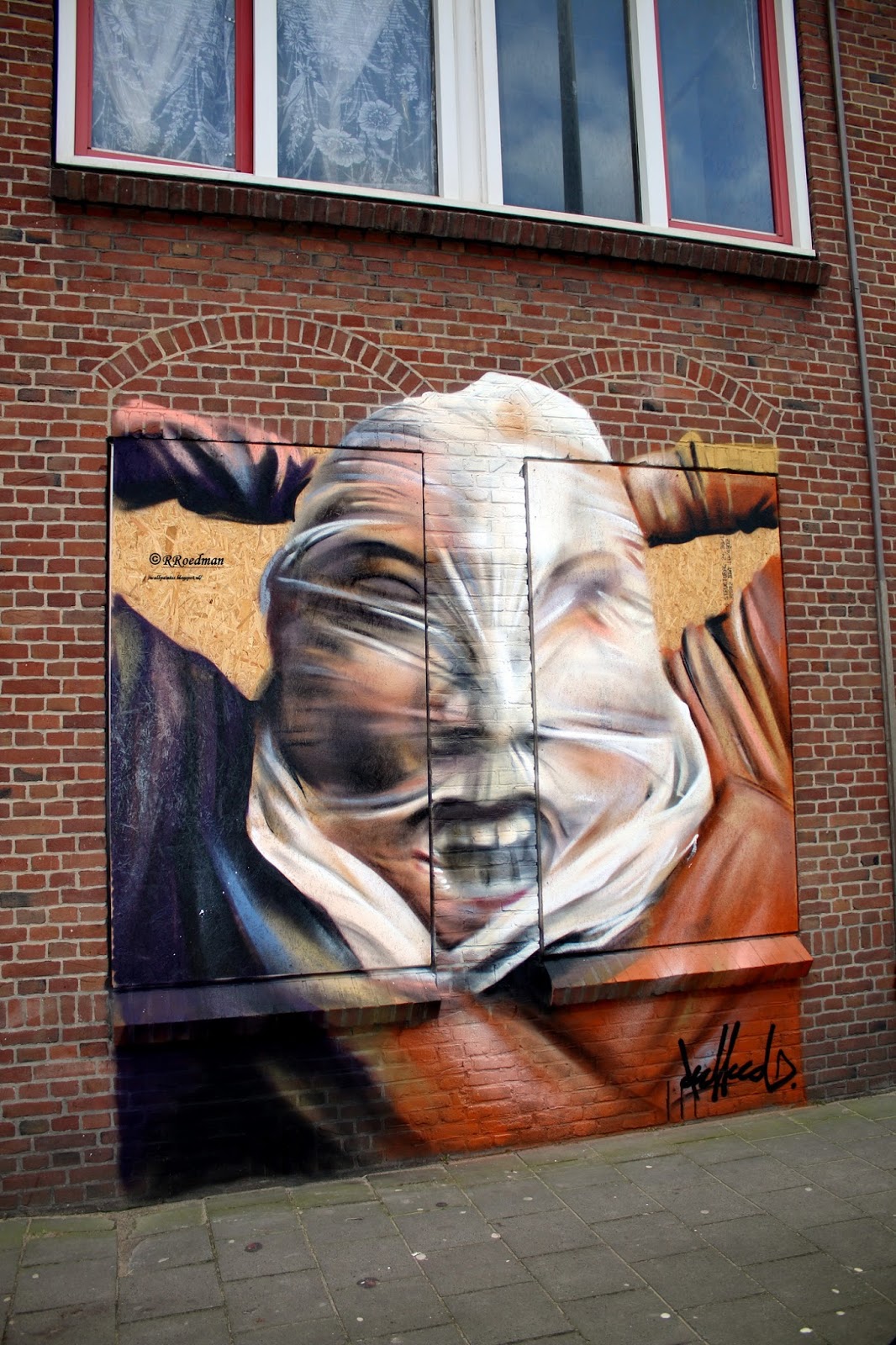 Street Art Den Haag Netherlands