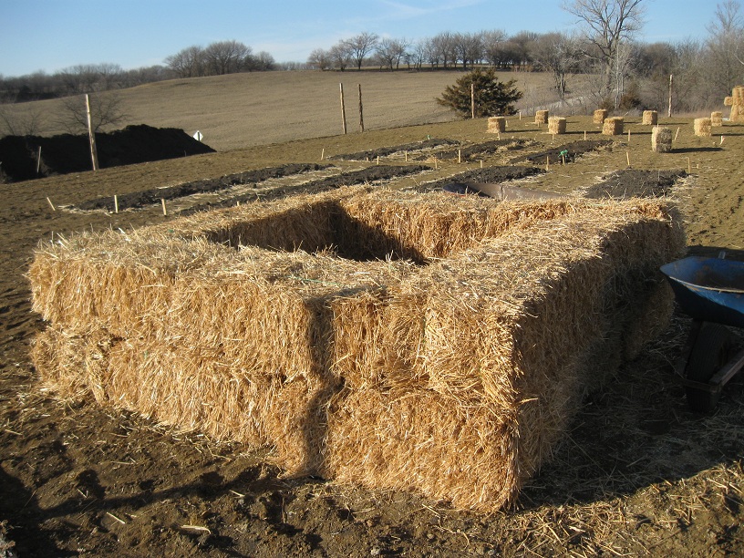 The Lehrmans Building with Straw!
