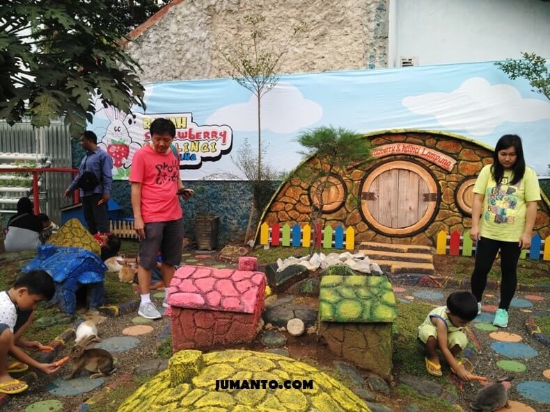 Peta Rute Lokasi Rumah Strawberry Taman Kelinci Lampung
