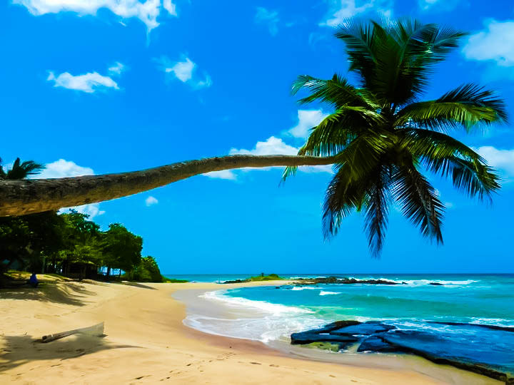 Шри ланка пляжи с белым песком Шри ланка пляжи с белым песком