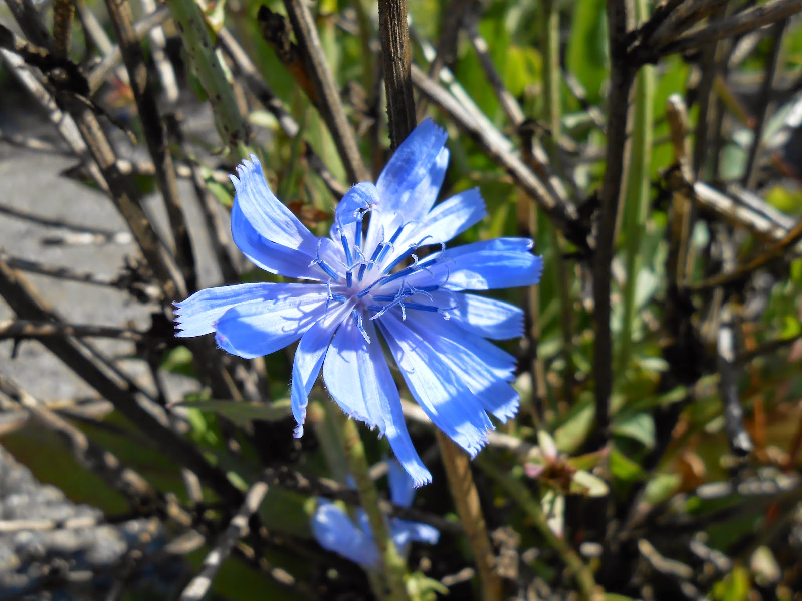 Spiritual Awakening Clearing and Processing