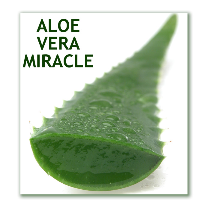 Aloe Vera Miracle