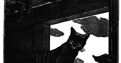 Сочинение по теме Черный кот