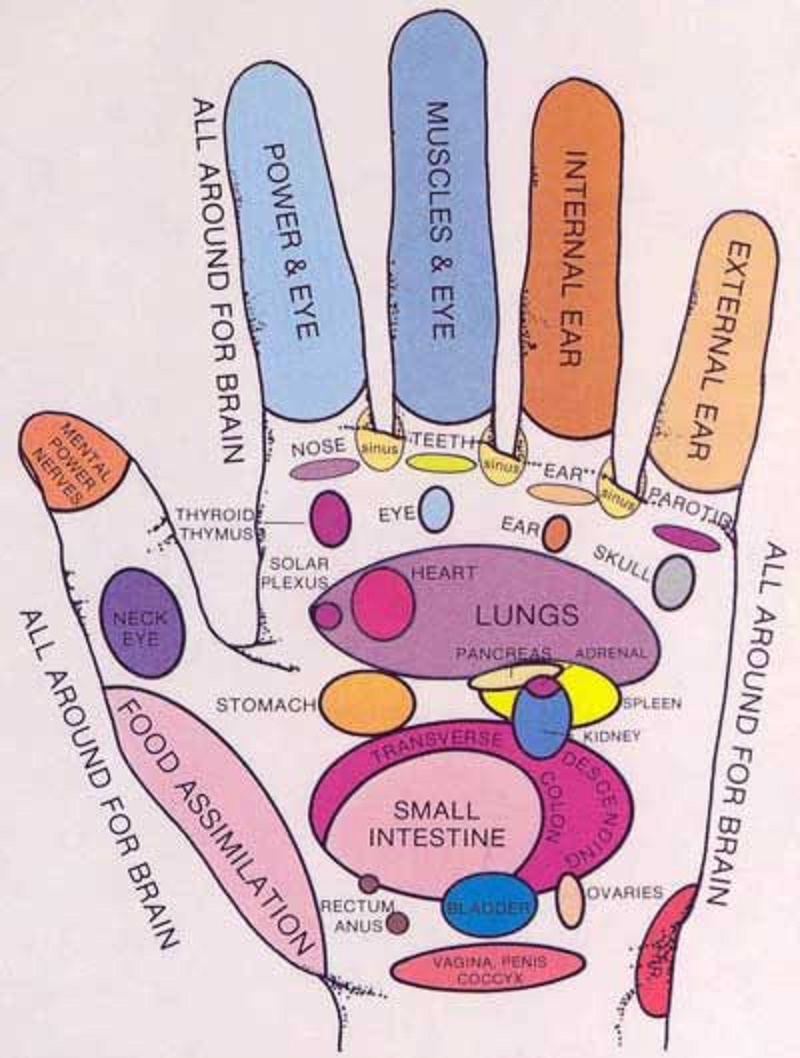 Hand Reflexology Chart Pdf