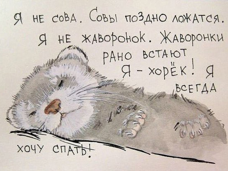 Картинки про усталость на работе