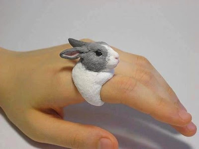Diseño de joyería creativa de animales-anillos