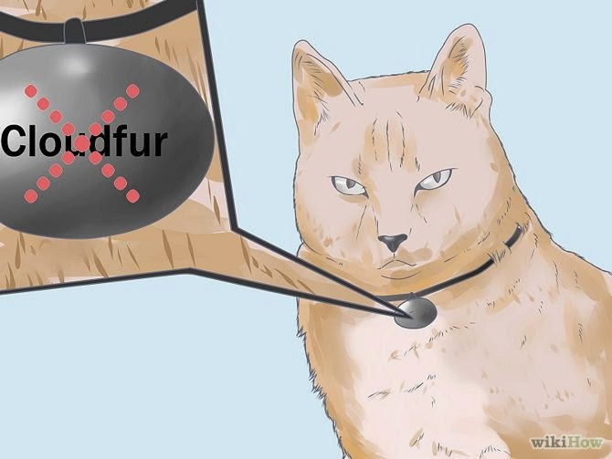 Warrior Cat Names