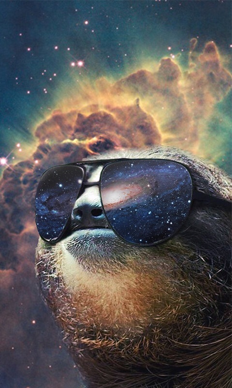 Sloth Wallpapers Sloth Wallpapers