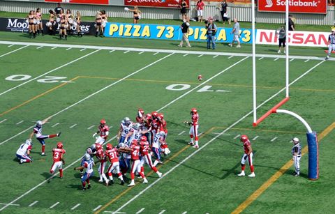 No Canadá, jogo de futebol americano sai da normalidade quando uma ovelha  invade o campo #HojeEmDia 