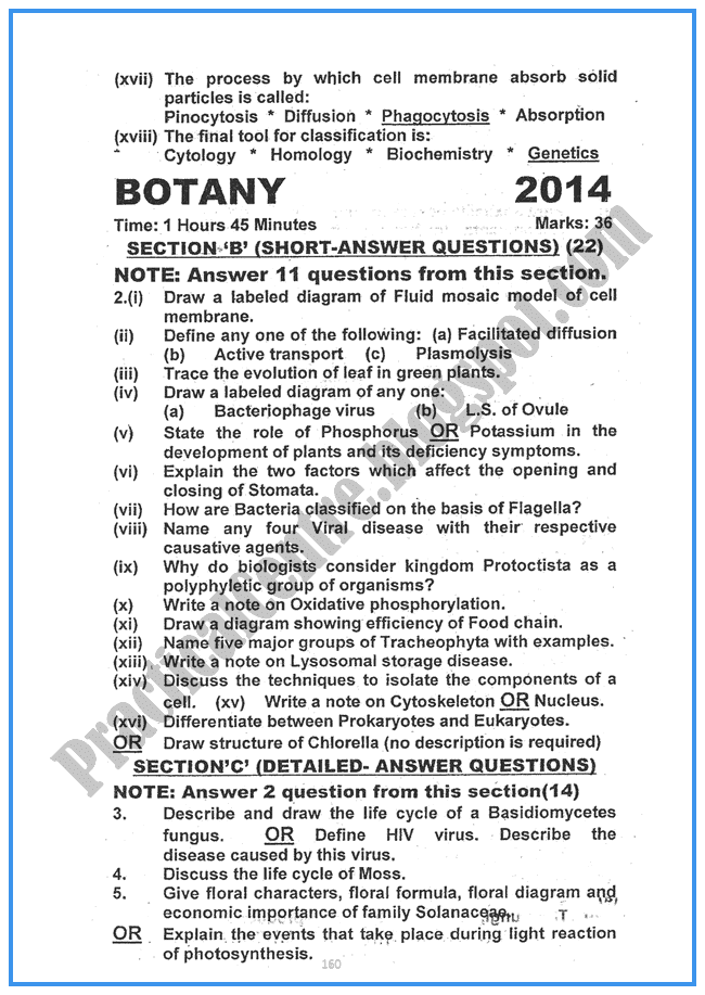 Botany-2014-Five-year-paper-class-xi