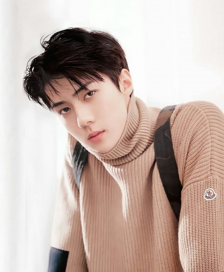 Urutan Member Exo Dalam Berbagai Kategori Rank Urutan Member Exo Dalam Berbagai Bidang