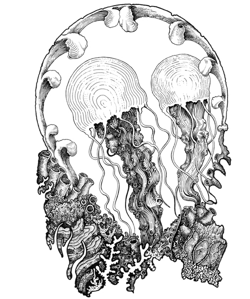 19-Jellyfish-Muthahari-Insani-Beautifully-Detailed-Ink-Drawings-and-Doodles-www-designstack-co