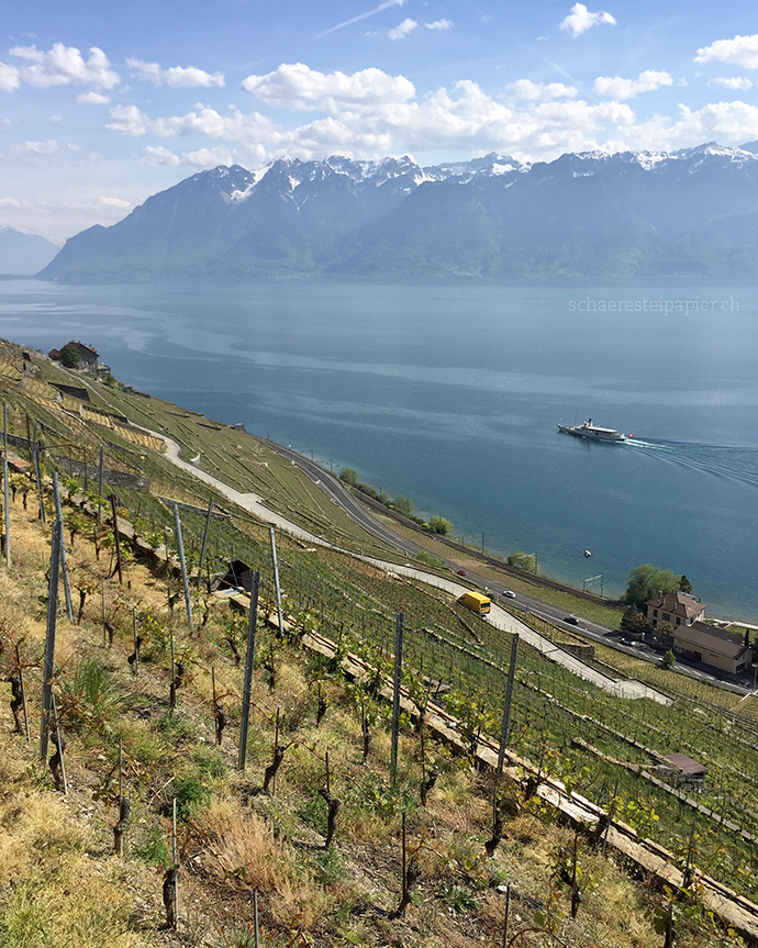 Travel Better With Bob Taylor The Olympic Museum In Lausanne