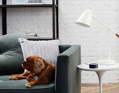 Echo Dot
