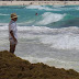 Sargazo inunda playas de Quintana Roo