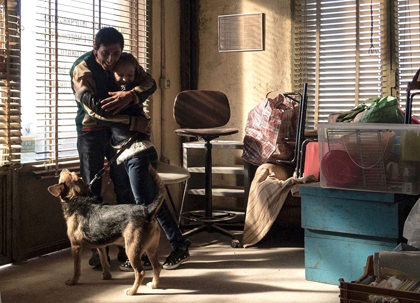 se filmer dogman films en caja tonta dogman italia 2018 thriller se filmer dogman films en caja tonta dogman italia 2018 thriller