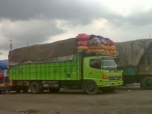  Cara Pembelian Bawang Merah