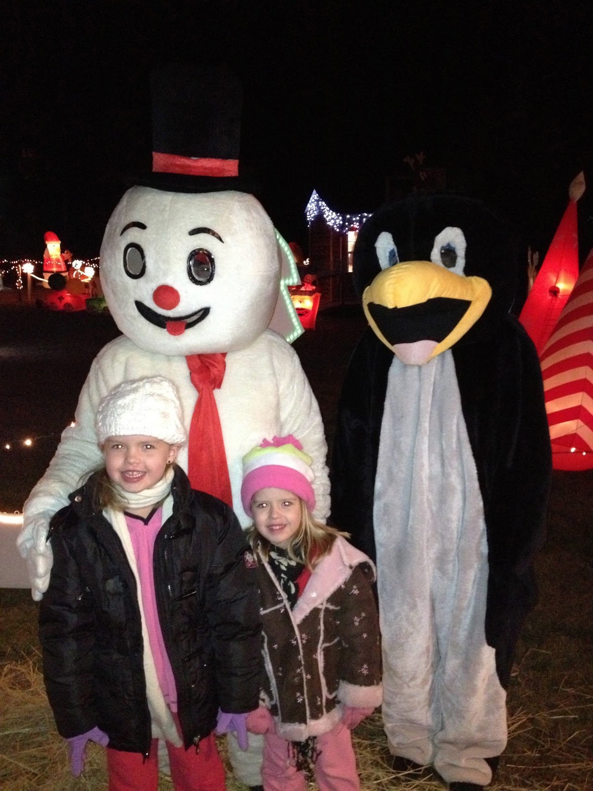 THE BOOTH BUNCH Christmas in Cotton Plant