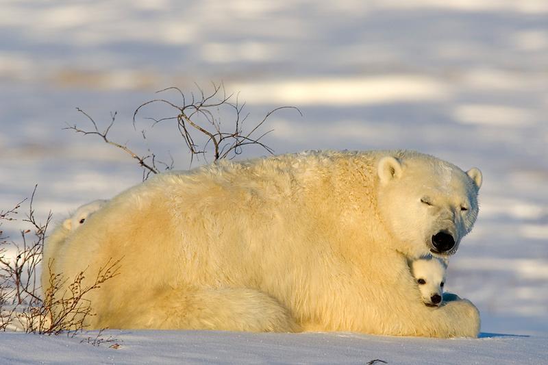 Beautiful pics ~ world news and wallpapers