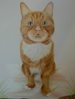 Pet Portrait cat oil on canvas