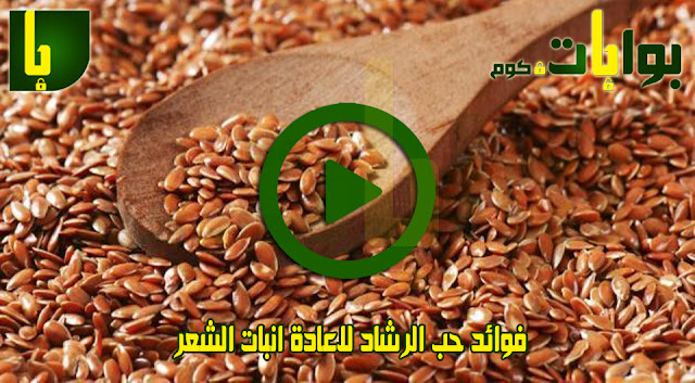 فوائد حب الرشاد للشعر