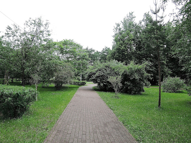 сокольники