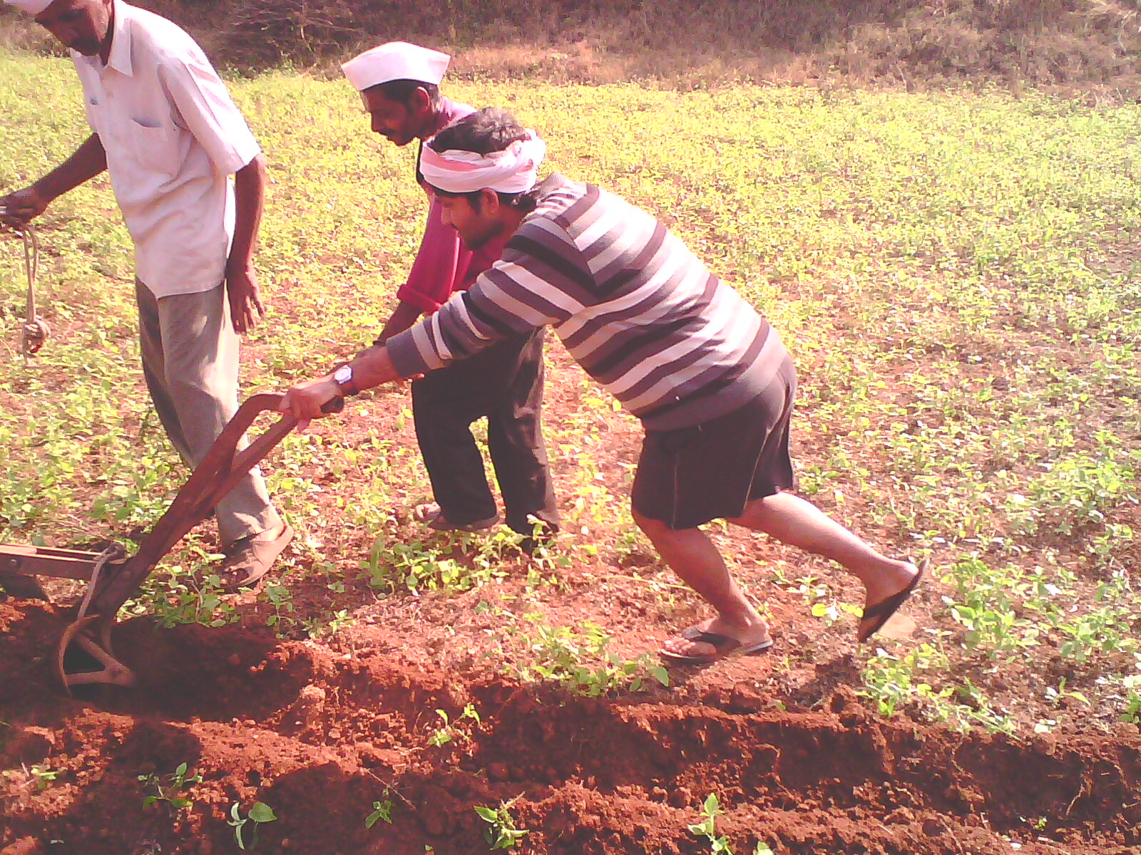 Primary Occupation Scribd India allegro-5-tubing-ensafeco