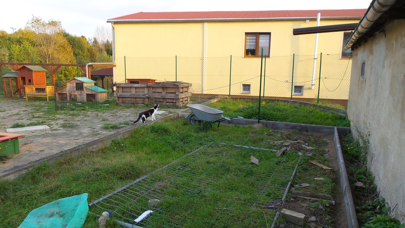 Ein Haus für Mensch, Hund, Katze und Maus Oktober 2014