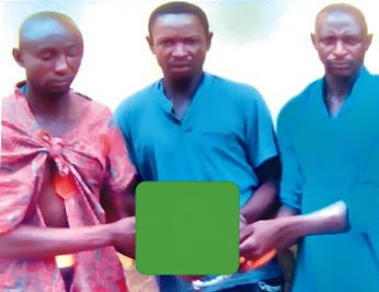 brother sets elder brother up murder