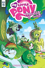 My Little Pony Friendship is Magic #46 Comic Cover Retailer Incentive Variant