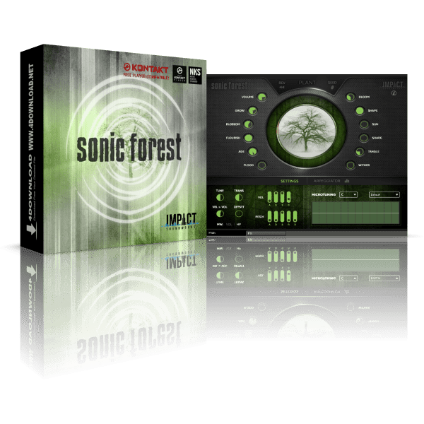 Sonic Forest KONTAKT Library