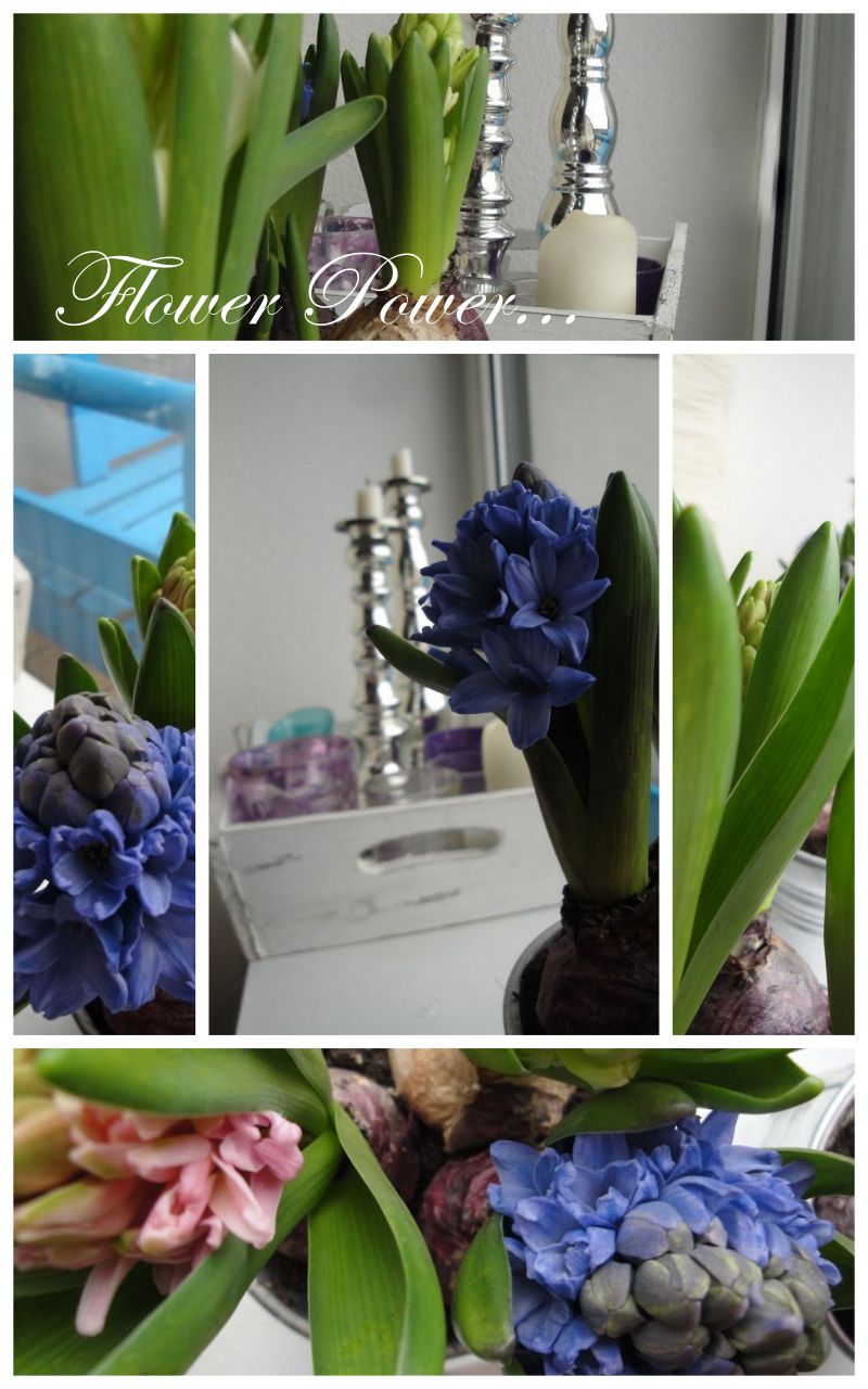 Verlockendes Marz 2011