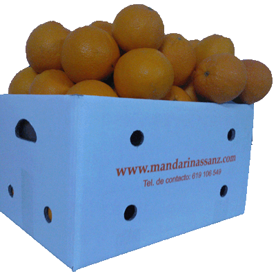 Naranjas de Valencia Online