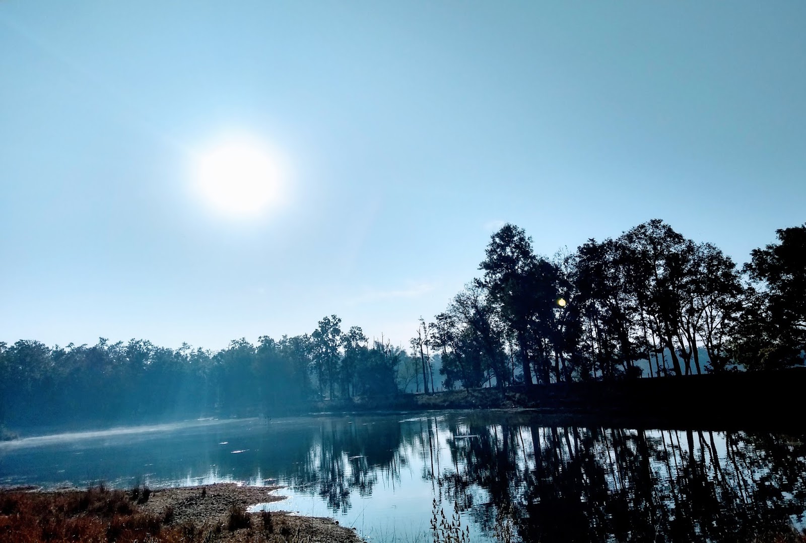 All About Kanha Kisli National Park Tiger Reserve A Two Day & one