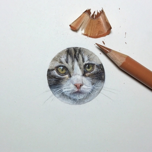 07-Kitten-Karen-Libecap-Star-Wars-&-other-Miniature-Paintings-and-drawings-www-designstack-co
