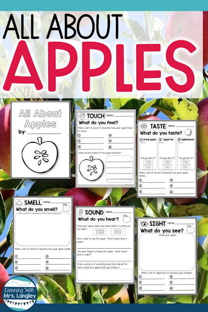 The blog post highlights everything we do in our kindergarten classroom during our apple unit. This would be great for preschool too! These activities and crafts are perfect for all kids. Study all about Johnny Appleseed and the life cycle of an apple with this science journal and activities. #johnnyappleseed #kindergarten #lifecycles #learningwithmrslangley
