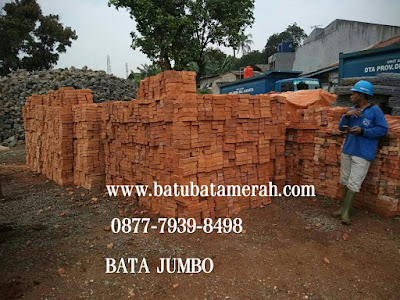 Jual Bata Merah Jumbo