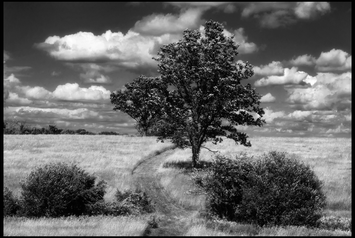 FtogrffBlog: Random Scenery