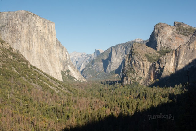 Yosemite National Park, un templo de la naturaleza - Viaje con tienda de campaña por el Oeste Americano (15)